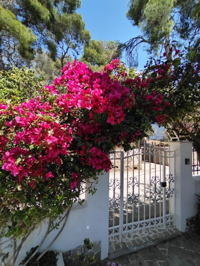 Villa Rigos House At Askeli Beach, Poros Island Poros Town Exterior foto